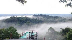 Bukit Peramun Belitung Raih Rekor MURI sebagai Hutan Digital Pertama di Indonesia