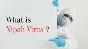 Virus Nipah Kini Bikin Panik Dunia, Seberapa Bahaya?