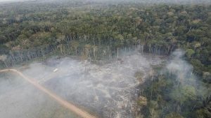 Terjadi Kebakaran Hebat di Lahan Semak Kawasan Kulong Kero, Desa Padang Manggar Kabupaten Belitung Timur