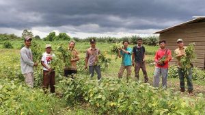 Pemuda dari Belitung Timur, Wahyu Santoso Berhasil Menjadi Juara 1 Petani Milenial Tingkat Provinsi Bangka Belitung