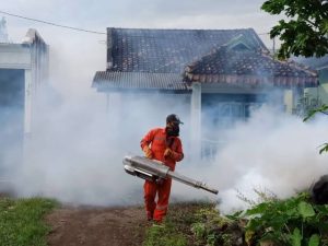 Waspada ! Dinkes Mencatat Ada 428 Kasus Demam Berdarah Dengue (DBD) di Belitung